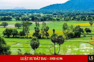 ĐIỀU KIỆN TÁCH THỬA ĐẤT Ở BẠC LIÊU