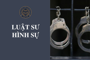 Luật sư hình sự tại huyện Núi Thành, Quảng Nam