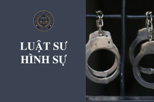 Luật sư hình sự tại Thị xã Hương Thủy, tỉnh Thừa Thiên Huế